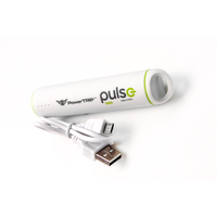 PULSE CHARGER PCG